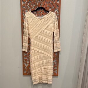 Lace revival! EUC, Long Sleeve fitted lacy dress